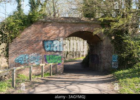 Das widerlager der abgerissenen Eisenbahnbrücke, die einmal die Linie von Root Canal Therapy zu Elvet über den Fluss in Durham, England, UK Verschleiß Stockfoto