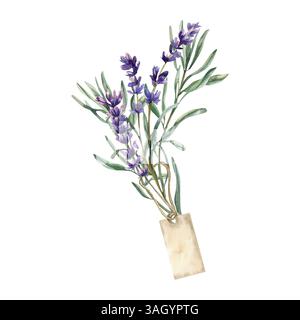 Lavendelviolett Blumenstrauß mit hängender Papieranhänger Aquarellillustration. Isolierte Feldblumen-Arrangement-Clipart im Provinzstil für Cosmet Stockfoto