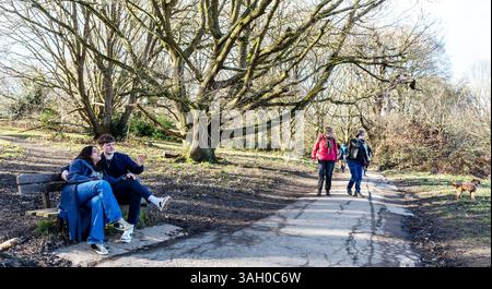 Ein junges Paar sitzt auf einer Bank Hampstead Heath London UK Stockfoto