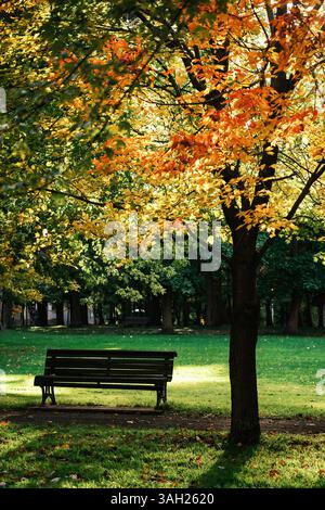 Leere Bank in einem Park im Herbst. Stockfoto