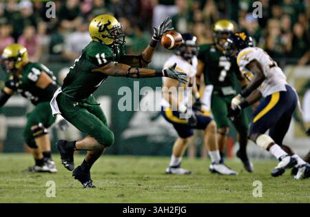 DANIEL WALLACE | Times. TP 312210 WALL Bulls 19 (10/30/2009 Tampa) South Florida Wide Receiver A.J. Love (11) schafft es, sich einen Pass von Quarterback B.J. Daniels (7) zu holen, um im dritten Quartal 15 Yards zu gewinnen. Die University of South Florida spielt am Freitag, den 30. Oktober 2009, West Virginia im Raymond James Stadium. [DANIEL WALLACE, Times] (Foto: © St. Petersburg Times/ZUMA Press) Stockfoto
