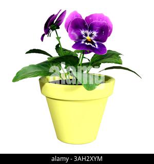 3D-Darstellung einer Stiefmütterpflanze mit violetten Blüten in einem gelben Topf isoliert auf weißem Hintergrund Stockfoto