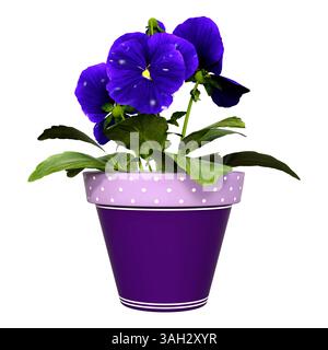 3D-Darstellung einer Stiefmütterpflanze mit violetten Blüten in einem violetten Topf isoliert auf weißem Hintergrund Stockfoto
