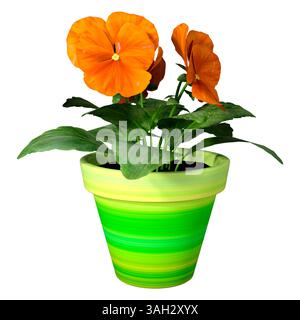 3D-Darstellung einer Stiefmütterpflanze mit Blüten in einem grünen Topf isoliert auf weißem Hintergrund Stockfoto