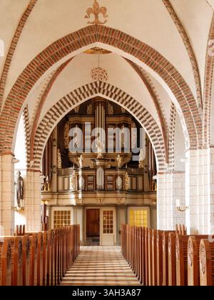 Innere der Nikolaikirche in Burg auf Fehmarn, Schleswig-Holstein, Deutschland, Hallenkirche mit Bögen und Orgel Stockfoto