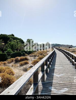 Ein langer Holzsteg erstreckt sich zum Horizont hin, umgeben von trockener Küstenvegetation und üppigen Palmen unter einem hellblauen Himmel. Stockfoto