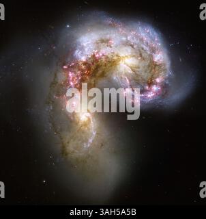 17. April 2015 - 17. April 2015 - ..dieses NASA Hubble-Weltraumteleskop-Bild der Antennengalaxien ist das bisher schärfste von diesem sich verschmelzenden Galaxienpaar. Im Verlauf der Kollision werden Milliarden von Sternen entstehen. Die hellsten und kompaktesten dieser Sterngeburtsregionen werden als Supersternhaufen bezeichnet. Die beiden Spiralgalaxien begannen vor einigen hundert Millionen Jahren zu interagieren, was die Antennengalaxien zu einem der nächsten und jüngsten Beispiele für ein kollidierendes Galaxienpaar machte. Fast die Hälfte der schwachen Objekte im Antennenbild sind junge Cluster mit Zehntausenden von s Stockfoto