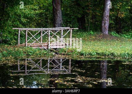 Die Brücke über einen Bach in einem Waldpark aus weißer Birke spiegelt sich auf der Wasseroberfläche eines bewachsenen Teichs. Stockfoto