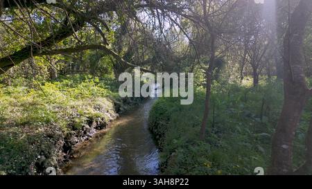 Sanfter Bach fließt durch die üppige Vegetation im Parque das Ribeiras, Sonnenlicht filtert durch die Bäume und erzeugt ein verflecktes Licht auf das Wasser und die Ufer Stockfoto