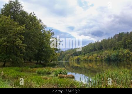 Ruhiger Waldsee unter einem stimmungsvollen Himmel Stockfoto