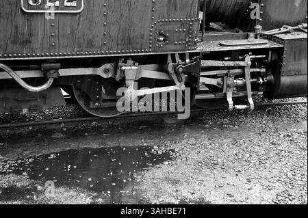 "Der Earl" bei Llanfair Careinion. Stockfoto