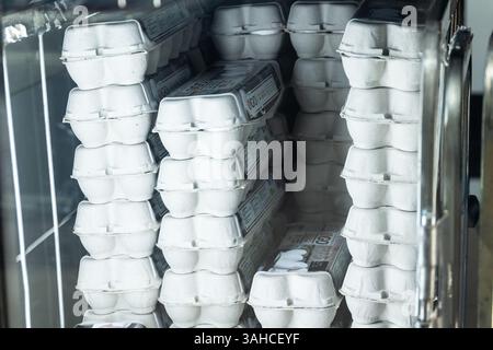 Kopenhagen, Dänemark. April 2025. Blick auf Eier in Tabletts zum Verkauf in einem Netto-Supermarkt in Kopenhagen. (Credit Image: © Kristian Tuxen Ladegaard Berg/SOPA Images via ZUMA Press Wire) NUR REDAKTIONELLE VERWENDUNG! Nicht für kommerzielle ZWECKE! Stockfoto