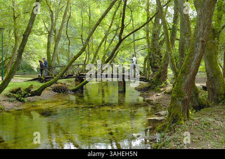 Menschen, die im September eine kleine Brücke über ein Quellwasser des Flusses Bosna überqueren, Sarajevo, Bosnien und Herzegowina Stockfoto