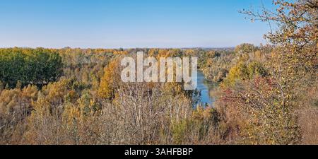 Herbstliches ländliches Panorama mit einem ruhigen Fluss, der sich durch einen dichten Wald mit bunten Bäumen schlängelt. Das leuchtende Laub von Grün bis Gelb erzeugt einen Stockfoto