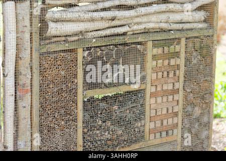Biene oder Käfer Hotel oder Haus. Insektenfreundliche Konstruktion mit kleinen Löchern und Platz für Insekten unterschiedlicher Größe, Insekten und Lebewesen. Stockfoto