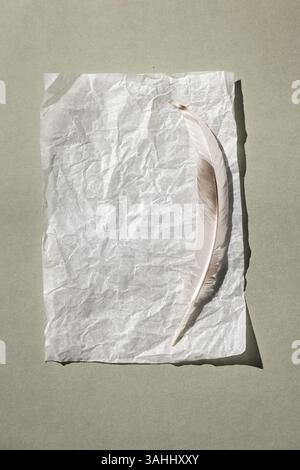 Einfarbiger Hintergrund mit einem leeren Blatt Papier und einer Feder. Draufsicht, minimaler Stil, Platz für Text. Stockfoto