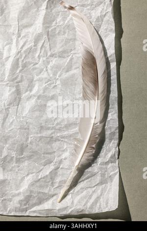 Einfarbiger Hintergrund mit einem leeren Blatt Papier und einer Feder. Draufsicht, minimaler Stil, Platz für Text. Stockfoto