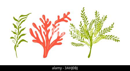 Meerespflanzen Unterwasser Meeresflora Set. Design für Banner Poster Vorlage Einladungskarte. Vektorabbildung. Stock Vektor