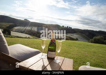 Sekt und Gläser auf einem Tisch mit Blick auf die sonnige Weinbergslandschaft. Waiheke Island, Auckland, Neuseeland Stockfoto