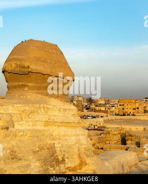 Kairo, Ägypten; 20. Januar 2024: Zeigen Sie die Sphinx von Gizeh, einen alten Wächter mit Blick auf Pyramiden und Kairo, pharaonische Ägypten. Ideal für Designs. Stockfoto