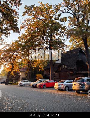 Sonnenuntergang auf einer Straße mit alten, großen Bäumen. Holzgebäude, geparkte Autos und riesige Eichen mit Orangenblättern an einem Herbsttag in der Stadt Stockfoto