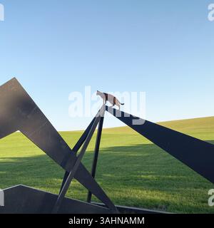 Katze, die auf einer Metallkonstruktion steht. Silhouette einer braunen abessinierkatze auf einem schmalen Metallrahmen, endloser Rasen im Hintergrund. Stockfoto