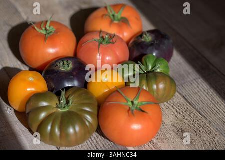 Eine Vielzahl von Erbtomaten (Solanum lycopersicum) auf rustikalem Holz mit natürlicher Farbe, Form und biologischer Vielfalt Stockfoto