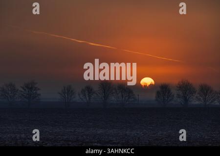 Norfolk Sonnenaufgangsbäume stimmungsvolle orange leuchtende Wolken Stockfoto