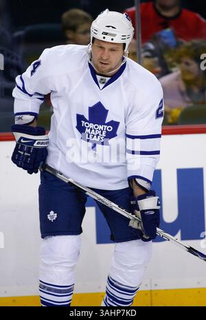 16. November 2008 - Calgary, Alberta, Kanada - Foto des NHL-Spielerprofils auf Jonas Frogren aus Schweden von Toronto Maple Leafs während eines Hockeyspiels in Calgary. (Foto: © Larry MacDougal via ZUMA Wire) Stockfoto