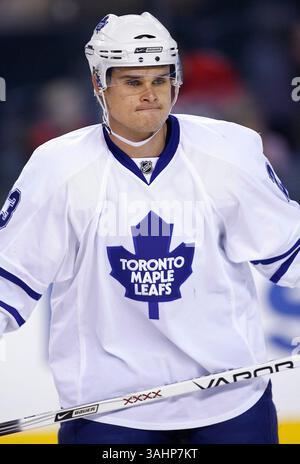 16. November 2008 - Calgary, Alberta, Kanada - Foto des NHL-Spielerprofils von Toronto Maple Leafs' Alexei Ponikarovsky aus der Ukraine während eines Hockeyspiels in Calgary. (Foto: © Larry MacDougal via ZUMA Wire) Stockfoto