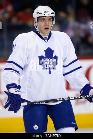 16. November 2008 - Calgary, Alberta, Kanada - Foto des NHL-Spielerprofils von Toronto Maple Leafs' Nikolai Kulemin aus Russland während eines Hockeyspiels in Calgary. (Foto: © Larry MacDougal via ZUMA Wire) Stockfoto