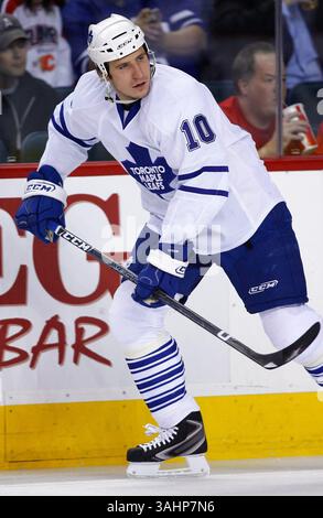 November 2008 - Calgary, Alberta, Kanada - Foto des NHL-Spielerprofils auf Alex Steen von Toronto Maple Leafs während eines Hockeyspiels in Calgary. (Foto: © Larry MacDougal via ZUMA Wire) Stockfoto