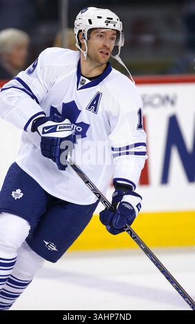16. November 2008 - Calgary, Alberta, Kanada - Foto des NHL-Spielerprofils auf Dominic Moore von Toronto Maple Leafs während eines Hockeyspiels in Calgary. (Foto: © Larry MacDougal via ZUMA Wire) Stockfoto