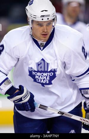 16. November 2008 - Calgary, Alberta, Kanada - Foto des NHL-Spielerprofils von Toronto Maple Leafs' Alexei Ponikarovsky aus der Ukraine während eines Hockeyspiels in Calgary. (Foto: © Larry MacDougal via ZUMA Wire) Stockfoto
