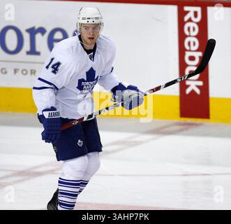 November 2008 - Calgary, Alberta, Kanada - Foto des NHL-Spielerprofils auf Matt Stajan von Toronto Maple Leafs während eines Hockeyspiels in Calgary. (Foto: © Larry MacDougal via ZUMA Wire) Stockfoto