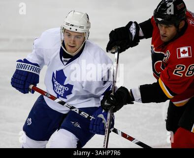 16. November 2008 - Calgary, Alberta, Kanada - NHL-Spielerprofil auf Matt Stajan von Toronto Maple Leafs (links), als er während eines Hockeyspiels in Calgary von Calgary Flames Robyn Regehr (rechts) engagiert wird. (Foto: © Larry MacDougal via ZUMA Wire) Stockfoto