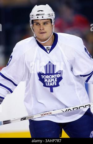 16. November 2008 - Calgary, Alberta, Kanada - Foto des NHL-Spielerprofils von Toronto Maple Leafs' Alexei Ponikarovsky aus der Ukraine während eines Hockeyspiels in Calgary. (Foto: © Larry MacDougal via ZUMA Wire) Stockfoto