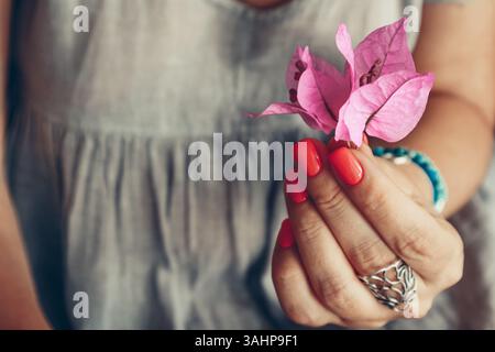 Weibliche Hände mit roter Schellack-Maniküre auf den Nägeln halten Bougainvillea-Blüte Stockfoto