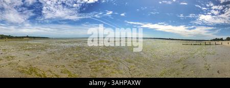 Ein Panoramablick zeigt einen ruhigen Strand, der mit Algen bedeckt ist, mit ruhigem Wasser und einem hellen Himmel mit verstreuten Wolken, was ein ruhiges und ruhiges Ambiente schafft Stockfoto