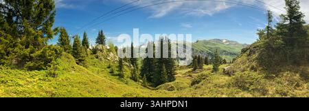 Ein atemberaubendes, weites Panorama einer Berglandschaft mit dichten Wäldern, hellen Grünflächen und einem klaren blauen Himmel. Ideal für Natur- und Außenaufnahmen Stockfoto