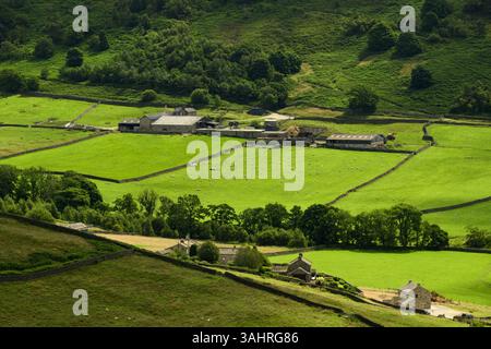 Sonnendurchflutetes steiles Tal (malerische Aussicht, Vieh auf Ackerland, Häuser in kleiner Siedlung) - Skyredale, Yorkshire Dales, England Großbritannien. Stockfoto