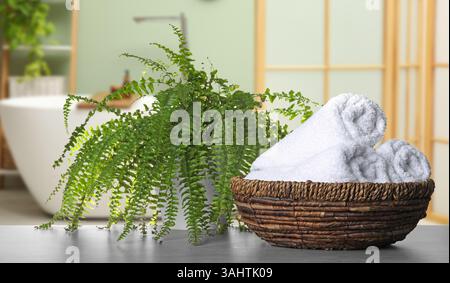 Frische, saubere Handtücher und Topfpflanzen auf dem Tisch im Bad, Banner-Design. Heimtextilien Stockfoto