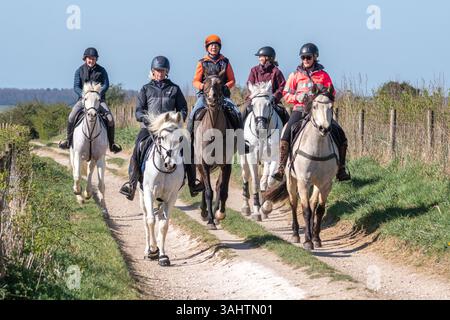 Frauen, die an einem sonnigen Tag im South Downs National Park in West Sussex, England, Großbritannien, reiten auf Pferden Stockfoto