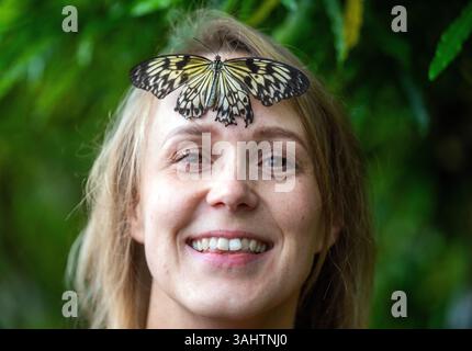 Prag, Tschechische Republik. April 2025. Die Eröffnung der Ausstellung „Schmetterlinge: Die Magie der Attraktion“ fand am 10. April 2025 im Prager Botanischen Garten in Tschechien statt. Quelle: Michaela Rihova/CTK Photo/Alamy Live News Stockfoto