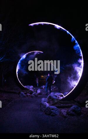 Seattle, USA. Januar 2025. Der atemberaubende Astra Lumina Walk in den Chinesischen Gärten im Westen von Seattle. Stockfoto