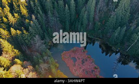 Blick aus der Vogelperspektive auf Forest Lake mit Vegetation. Blick von oben auf einen ruhigen Waldsee, umgeben von dichten Bäumen, mit farbenfroher Vegetation und Reflexionen Stockfoto