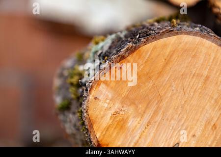 Stapel Brennholz, natürliche Heizquelle für Winterheim auf dem Land. Stockfoto