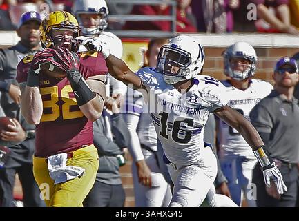 11. Oktober 2014 – Minneapolis, MN, USA – Minnesota Tight End Maxx Williams (88) macht einen Fang, als er am 11. Oktober 2014 von Northwestern Safety Godwin Igwebuike (16) im TCF-Stadion in Minneapolis gespickt wird. (Bild: © Elizabeth Flores/TNS via ZUMA Wire) Stockfoto