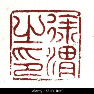Ein vereinfachtes chinesisches Siegel, das in der offiziellen chinesischen Dokumentation verwendet wird, mit gravierten Zeichen für die Authentifizierung und Validierung von Dokumenten, das die kulturelle und staatliche Bedeutung von Siegel widerspiegelt. Stockfoto
