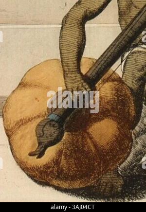 Frans Balthazar Solvyns (1808–1812) stellte in seinem Werk aus Illustrations de Les Hindous ein hinduistisches Musikinstrument dar, das als Qaplious oder bin bekannt ist. Das Bild hebt das vogelförmige Ende des Instruments hervor und zeigt die detailreiche Handwerkskunst. Stockfoto